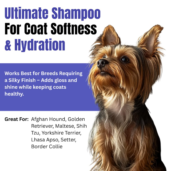 Black Dog Portable Paw Cleaning Cup – Soft Silicone Dog Paw Washer for Small & Medium Dogs, Easy Pet Foot Cleaner (Color May Vary) - Image 4