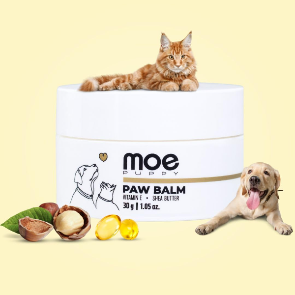 Moe Puppy Natural Paw & Nose Balm for Dogs & Cats – Lick-Safe Moisturizer for Cracked, Dry, or Itchy Paws, Elbows & Nose | Healing & Repairing Paw Care, 30g (1 Pack) - Image 4