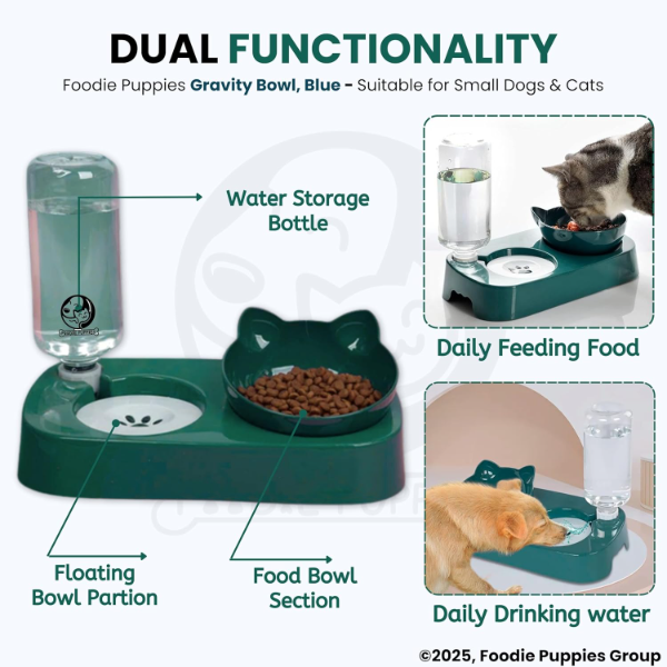 2-in-1 Automatic Pet Feeder & Water Dispenser Set for Cats & Dogs – Gravity Food Bowl with Detachable Raised Tilted Design for Puppies, Kittens & Small Pets (Green) - Image 3