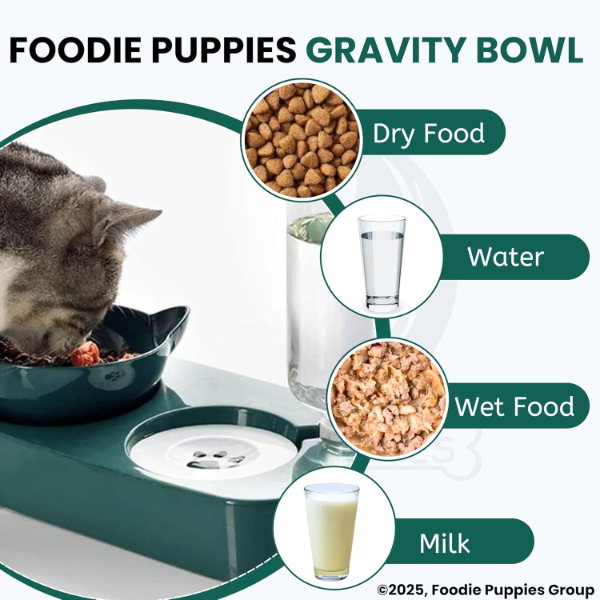 2-in-1 Automatic Pet Feeder & Water Dispenser Set for Cats & Dogs – Gravity Food Bowl with Detachable Raised Tilted Design for Puppies, Kittens & Small Pets (Green) - Image 4