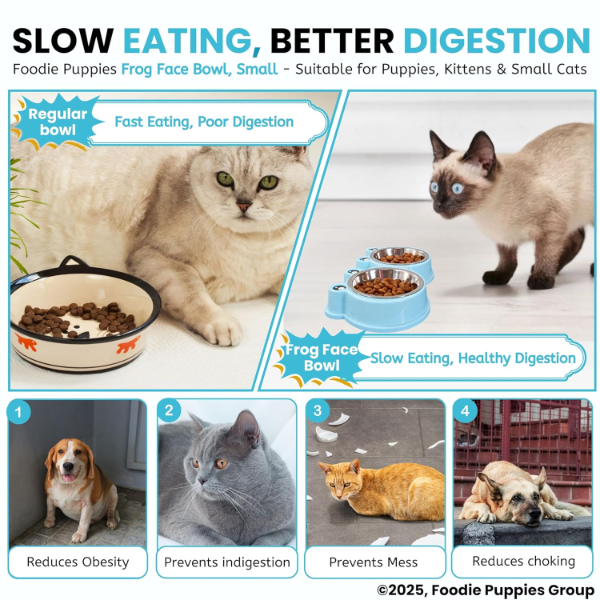 Foodie Puppies 2-in-1 Frog Face Pet Bowl for Cats & Kittens – Small Dual Food & Water Feeder, 200ml Each | Non-Slip, Safe & Non-Toxic Plastic Feeding Bowl - Image 4