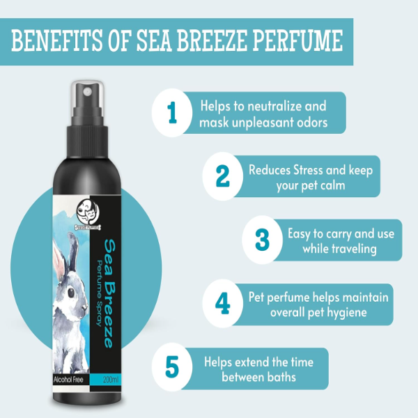 Foodie Puppies Sea Breeze Pet Perfume Spray for Rabbits & Small Animals – 200ml | Lavender & Aloe Vera Safe Daily Deodorizer - Image 2
