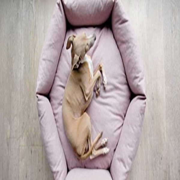 Reversible Ultra-Soft Velvet Luxury Sofa & Pet Bed – Cozy Dog, Cat, Puppy & Small Animal Bed | 68x68x20 cm, Cream