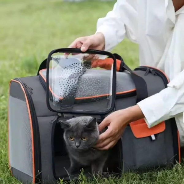 Risan Pets Airline-Approved Travel Carrier Bag – Breathable Mesh Pet Carrier for Cats, Small Dogs, Puppies, Kittens, Rabbits & Birds | Portable 20 x 11 x 11 Inch, Dark Grey & Orange - Image 3