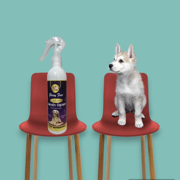 Pet Potty Training Spray 200ml – Indoor & Outdoor Dog, Cat & Puppy Pee Training Aid | Safe & Effective Spray for New Pet Owners & Home Moves | Easy Spray-Sniff-Treat Method
