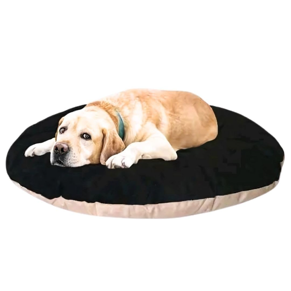 Cozy Polyester Pet Bed for Dogs & Cats – Soft, Durable, Washable Pillow for Puppies, Rabbits & Persian Cats – All-Season Indoor & Outdoor Comfort (Black Cream, Small)"
