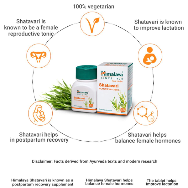 Himalaya Pure Herbs Shatavari Women's Wellness Herbal Tablets | Promotes Healthy Lactation & Women's Vitality | 60 Count per Bottle | Pack of 4 - Image 4